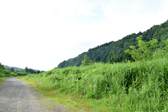 リアルでも勇者になりたくて、『勇者ヨシヒコ』のロケ地に行ってみた。