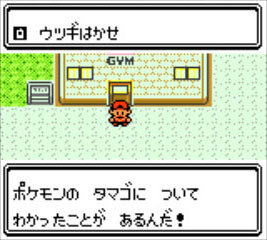 ポケットモンスター金/銀