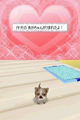 カジュアルシリーズ2980 Petz Dogz ドッグズ