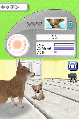 カジュアルシリーズ2980 Petz Dogz ドッグズ