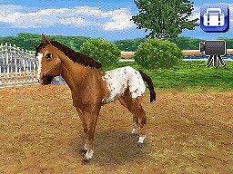 カジュアルシリーズ2980 Petz Horsez ホースズ