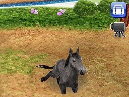 カジュアルシリーズ2980 Petz Horsez ホースズ