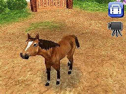 カジュアルシリーズ2980 Petz Horsez ホースズ