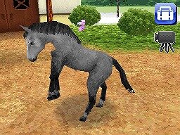 カジュアルシリーズ2980 Petz Horsez ホースズ