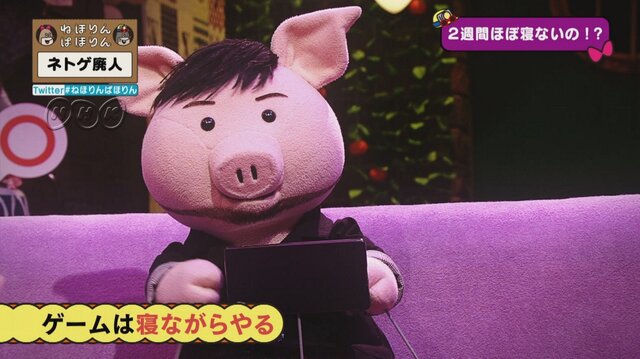NHK「ねほりんぱほりん」で“ネトゲ廃人”について赤裸々トーク！ 「ゲームを寝ながらやる方法」や1日20時間もプレイする理由とは？