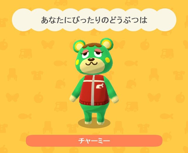 森 キャンプ キャラクター の どうぶつ ポケット