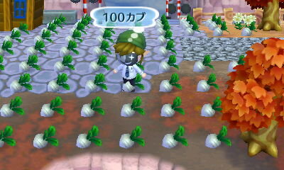 『どうぶつの森』と『ポケ森』は何が違うの？それぞれの特徴をまとめてみた