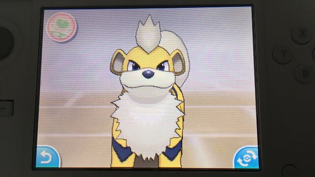 家族にしたいポケモン21選・前編！定番のポケモンから犬・猫系ポケモンも