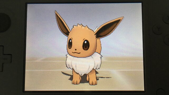 家族にしたいポケモン21選・後編！おいしい・ちょっと怖い・カッコいいポケモンたち