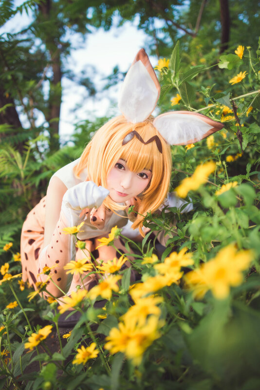 『けものフレンズ』/サーバル