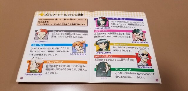 カントー地方で好きだったジムリーダーは誰 結果発表 第1位の栄冠は あのお嬢様のもとに輝く インサイド