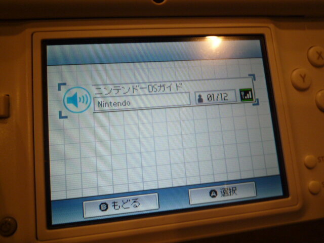 DSで音声ガイドを聞きながら作品鑑賞、京都文化博物館で体験してみました