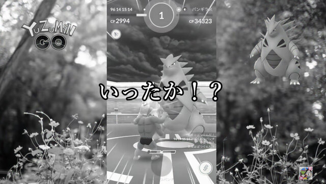 ついにバンギラスもソロレイドのターゲットに 奇跡達成までの道のりをガチ検証 ポケモンgo 秋田局 インサイド ついにバンギラスもソロレイドのターゲットに 奇跡達成までの道のりをガチ検証 ポケモンgo 秋田局 インサイド