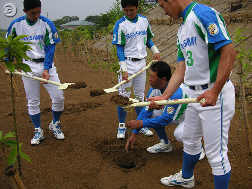 『野球つく2』×セガサミー野球部、バットの素材「アオダモ」を植樹