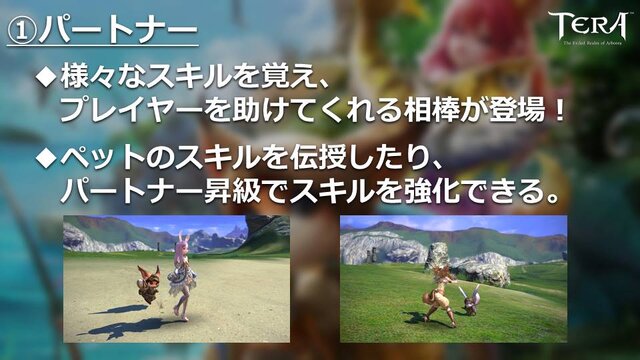 『TERA』新要素「パートナー」の情報公開―様々なスキルでプレイヤーを助ける相棒的存在！【生放送まとめ】