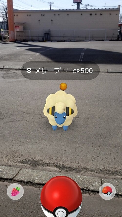 『ポケモン』が繋ぐ親と子の絆、夢は親子三世代で「ポケモン、ゲットだぜ！」