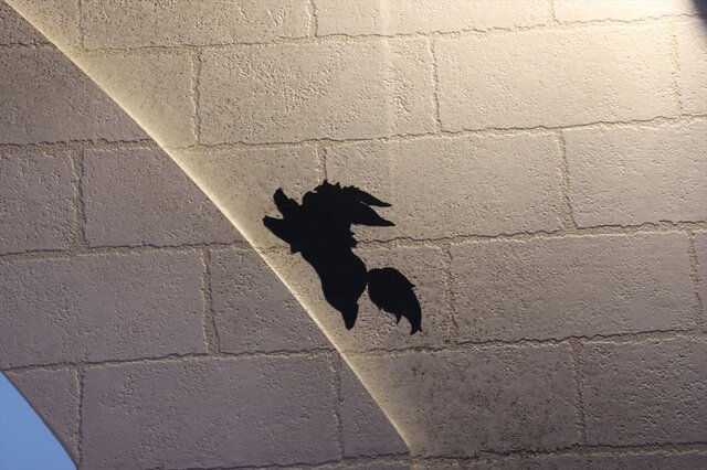 あんなところからこんなところまで!FGOフェスで隠しフォウくん探してみた