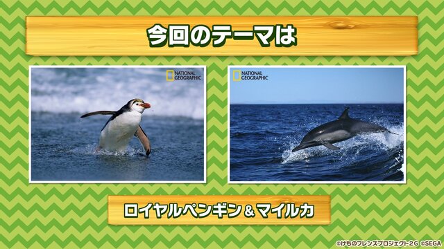 『けものフレンズ3』「わくわく探検レポート #3.0」」最新情報まとめ─主題歌「け・も・の・だ・も・の」収録のOPムービーがついに公開！