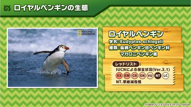 『けものフレンズ3』「わくわく探検レポート #3.0」」最新情報まとめ─主題歌「け・も・の・だ・も・の」収録のOPムービーがついに公開！