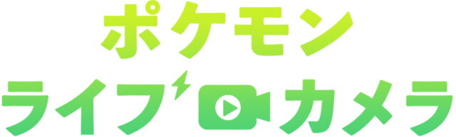 ポケモン ソード シールド 新企画 ポケモンライブカメラ 実施決定 ガラル地方の森を24時間生中継 インサイド