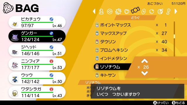 ポケモン ソード シールド 初のインターネット公式大会開催など ゲーム最新情報が公開 新登場の オートセーブ はオン オフを切替可能に 13枚目の写真 画像 インサイド