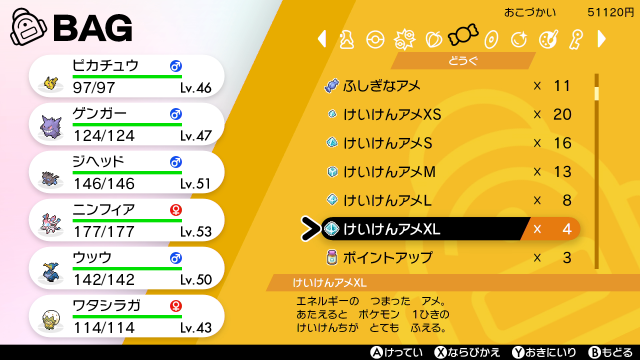ポケモン ソード シールド 初のインターネット公式大会開催など ゲーム最新情報が公開 新登場の オートセーブ はオン オフを切替可能に 14枚目の写真 画像 インサイド