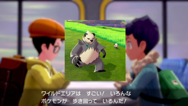 ポケモン剣盾 図鑑完成