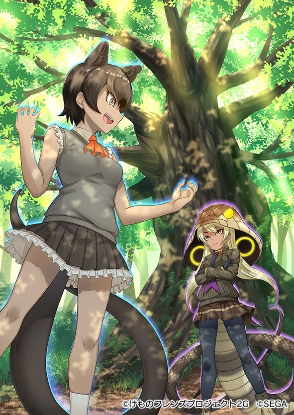 けものフレンズ3 新イベント 体力測定 ホワイトライオン編 がスタート ピックアップフレンズは 4 ホワイトライオン に 8枚目の写真 画像 インサイド