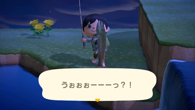 レア あつ 魚 森 【あつ森】レア住民一覧丨出し方と勧誘方法もご紹介【あつまれどうぶつの森】