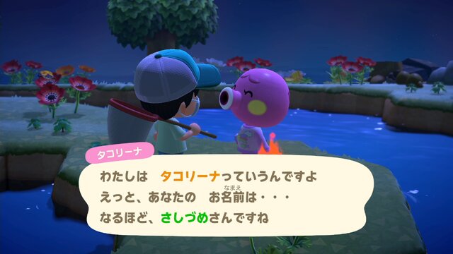 あつまれ どうぶつの森 マイル旅行券を使えば 夢のような島 に行ける マイルをつぎこんでレア島に挑戦してみた インサイド