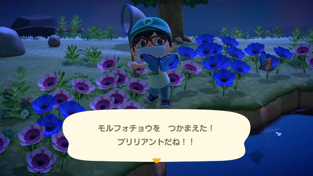 川のない島 マイル旅行券 『あつまれ どうぶつの森』マイル旅行券を使えば「夢のような島」に行ける!?