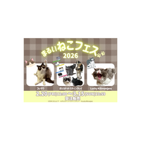 ねこ好きアーティストとコラボ＆保護猫を応援！「まるいねこフェス2026」をマルイウェブチャネルで開催！