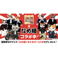 POCKET RDの大人気ゲームが『なめ猫』とのコラボを開催！