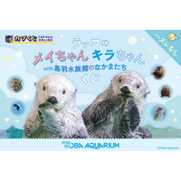 鳥羽水族館』のなかまたちが大集合！ ラッコの「メイちゃん」や「キラ