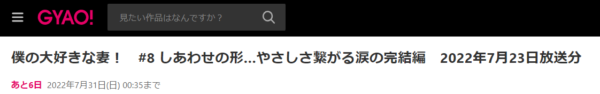 ドラマ 僕の大好きな 妻無料動画配信