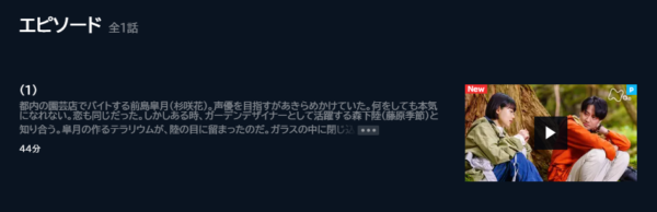 ドラマ プリズム 無料動画配信