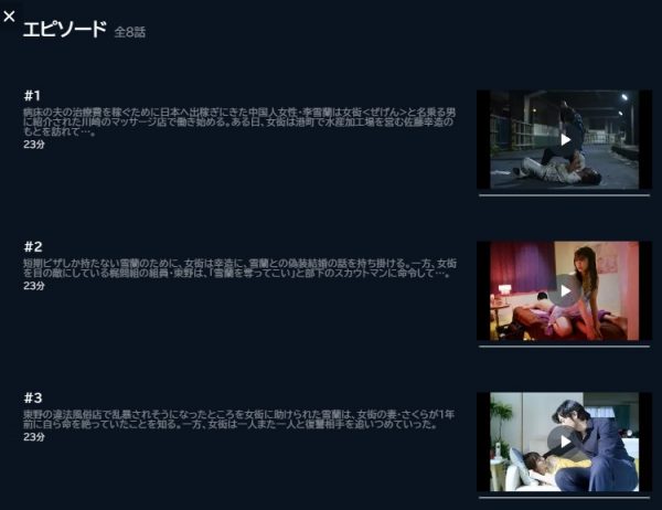 ドラマ　名もなき復習者　無料動画配信　U-NEXT