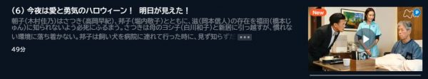ドラマ 我らがパラダイス 6話 無料動画配信