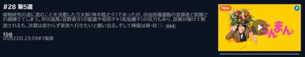 NHK連続テレビ小説 朝ドラ らんまん 5週 無料動画配信