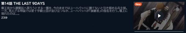 アニメ BLEACH 千年血戦篇ｰ訣別譚ｰ（ブリーチ第2クール） 14話 動画無料配信