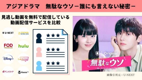 U-NEXT 韓国ドラマ 無駄なウソ－誰にも言えない秘密－ 無料動画配信