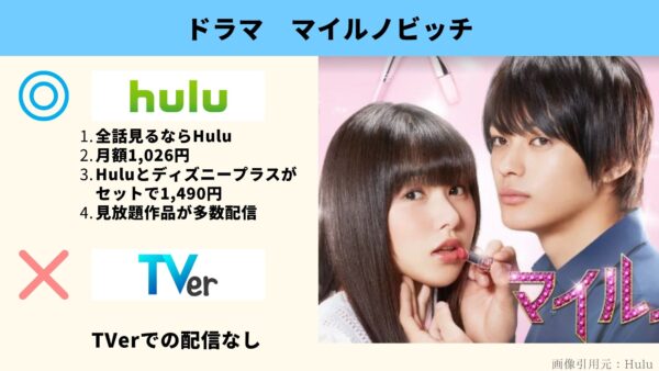 Hulu ドラマ　マイルノビッチ　動画配信