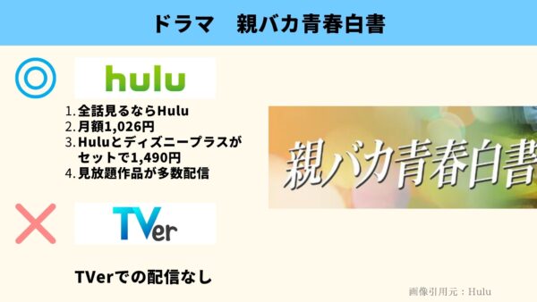 Hulu ドラマ　親バカ青春白書　動画配信