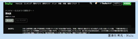 ドラマ　ハコヅメ〜たたかう!交番女子〜　無料動画配信