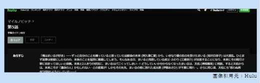 ドラマ　マイルノビッチ　無料動画配信