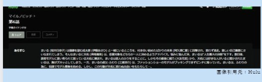 ドラマ　マイルノビッチ　無料動画配信
