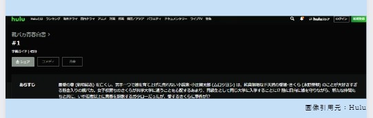 Hulu ドラマ　親バカ青春白書　動画配信