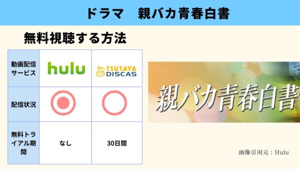 Hulu ドラマ　親バカ青春白書　動画配信