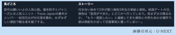 U-NEXT 映画 君が落とした青空 無料配信動画