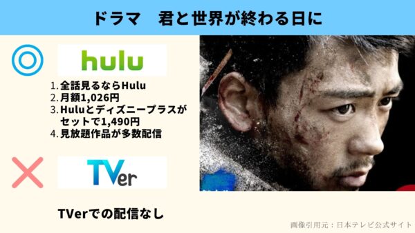 Hulu ドラマ　君と世界が終わる日に　動画配信